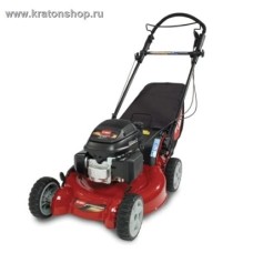 Газонокосилка бензиновая TORO 20192