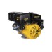 Двигатель CHAMPION G390HKE